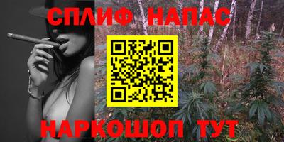 амф Дубна